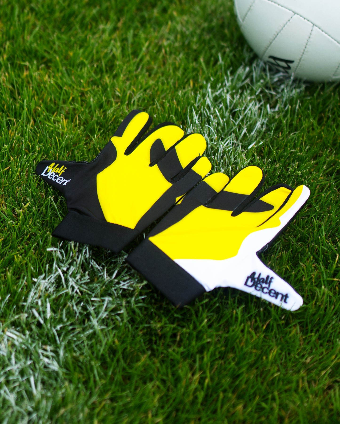 Stinger Gladiators
