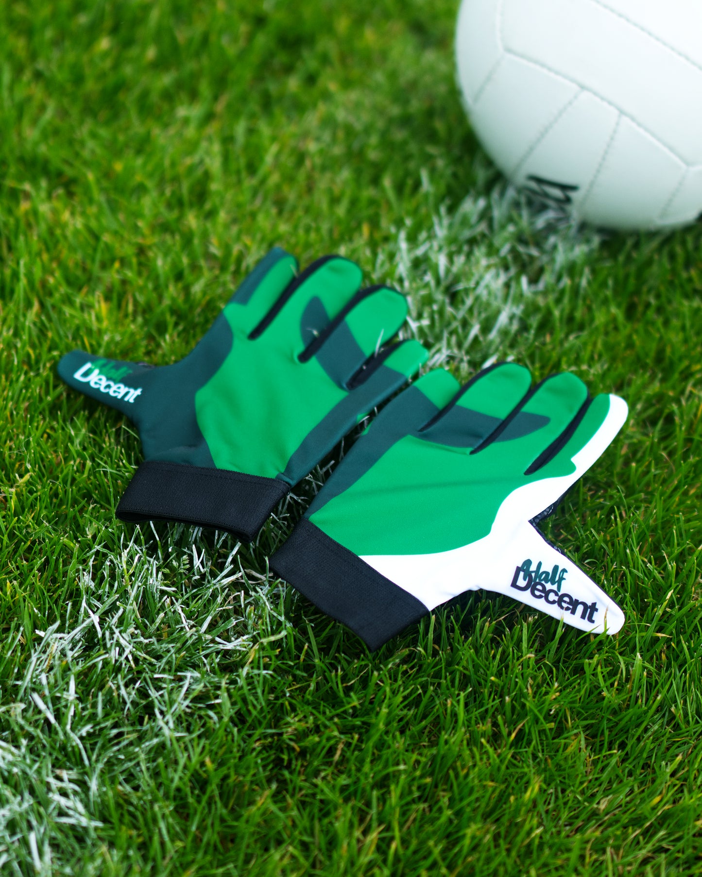 Forest Gladiators